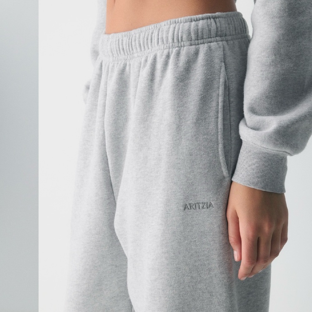 Aritzia Heather Gray Joggers